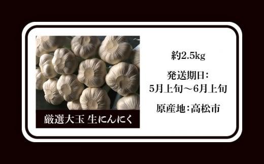 厳選大玉 生にんにく 約2.5kg【2025-5月上旬～2025-6月上旬配送】