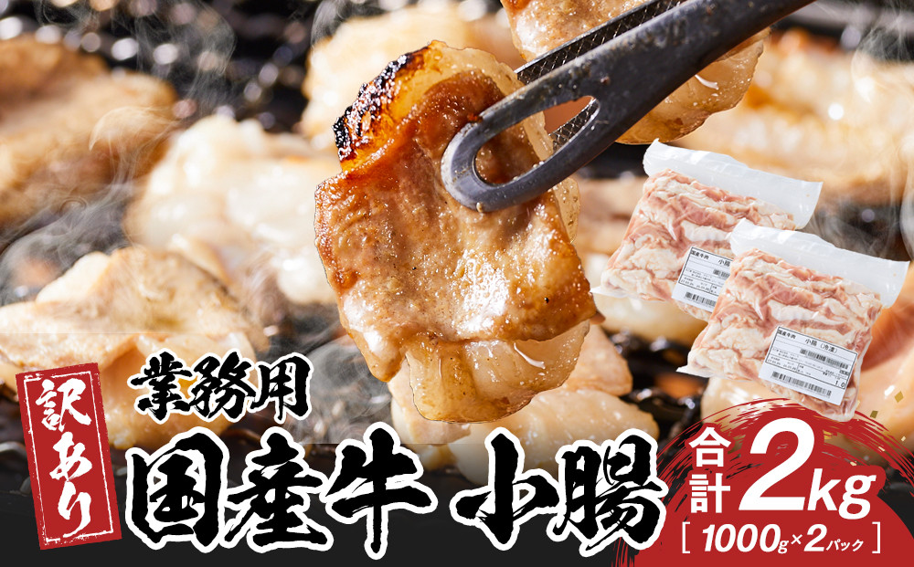 《業務用・訳アリ》国産牛　小腸　2kg