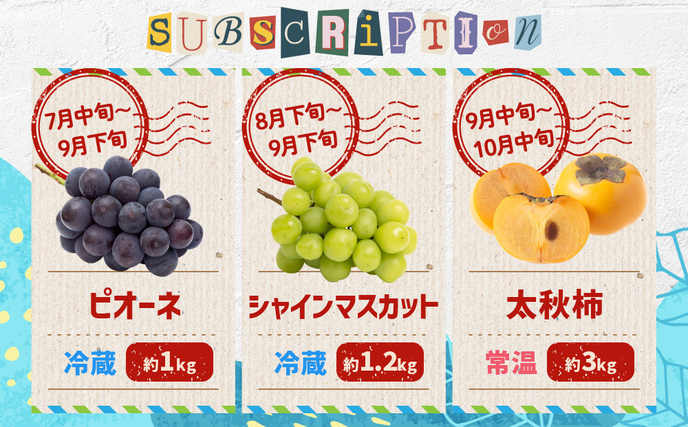 【12回毎月お届け】高松市自慢のフルーツ定期便【L】