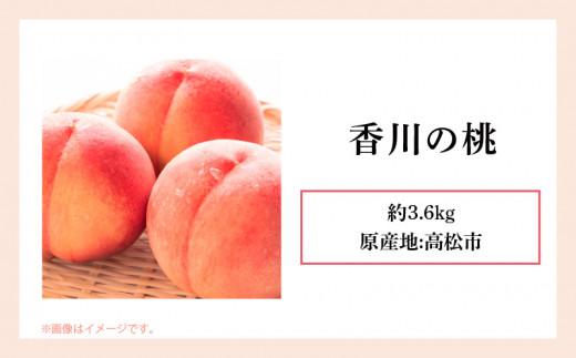 éŠå·ã®æ¡ çŽ3.6kgã2026幎6æäžæ¬ïœ2026幎8æäžæ¬é
éã