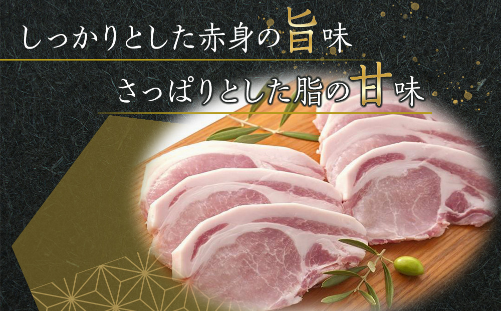 繧ェ繝ェ繝シ繝冶ア壹繝ュ繝シ繧ケ繝悶Ο繝繧ッ1000ス