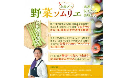 グリーン(約500g)・パープル(約300g)アスパラガス食べ比べセット【2025-3月上旬～2025-9月下旬配送】