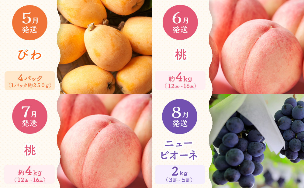 ãå®æäŸ¿å
š12åãæ¬æå³éžïŒåå£ãå³ããååå®æäŸ¿âªïœãã¬ãã¢ã ççŽéžæïœ