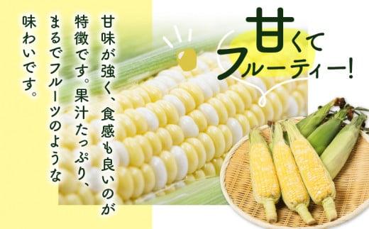 ＼寄附額改定／訳あり ご家庭用ドルチェドリーム 約4.5kg【2025-6月上旬～2025-7月上旬配送】