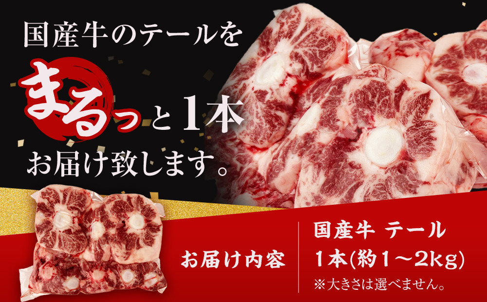 国産牛 テール 丸々1本　(約1～2kg)