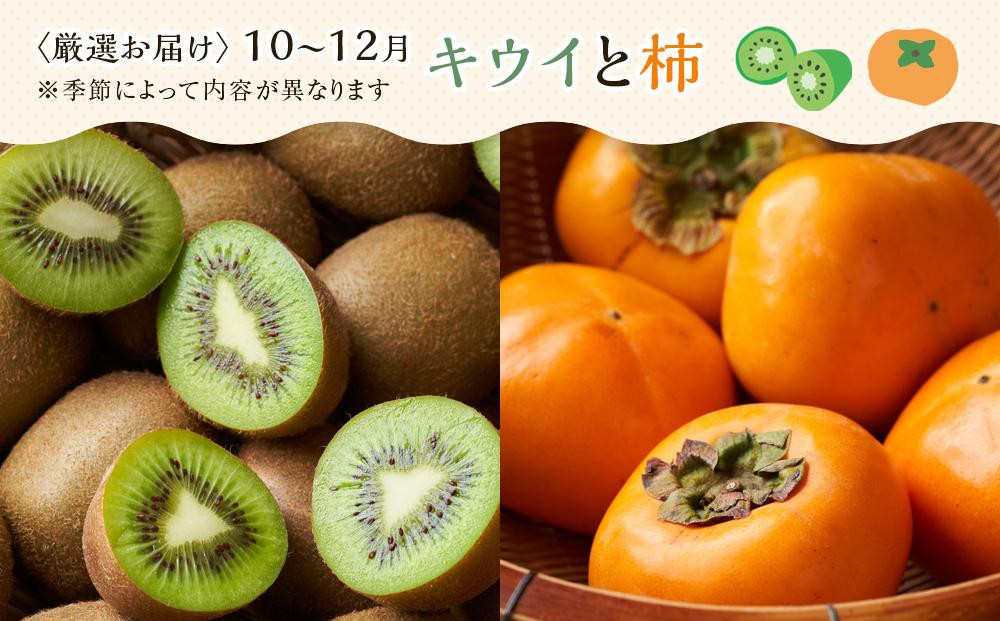 ããäžå
ã®ãã/çšæå¯Ÿå¿ã嵿¥130äœå¹ŽïŒèèæç©åºãèŠæ¥µãããå³éžãã«ãŒãè©°åãâªæºè¶³ã»ãã ïŒ3ïœ5åçš®ïŒ