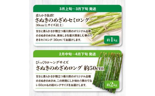 「香川県オリジナル品種さぬきのめざめ」と旬の野菜 定期便P