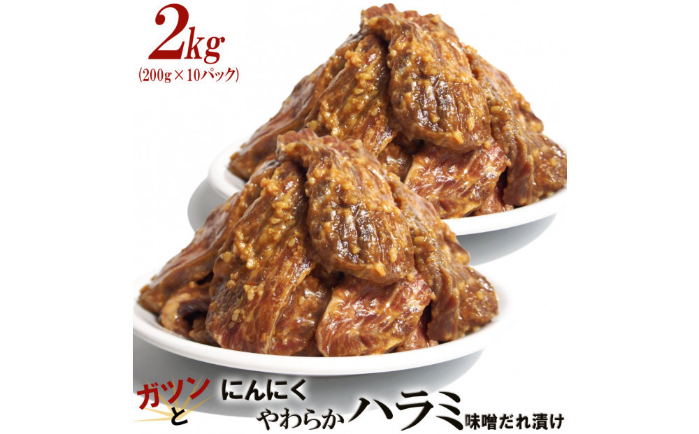ガツンとにんにくやわらかハラミ味噌だれ漬け2kg（200g×10）
