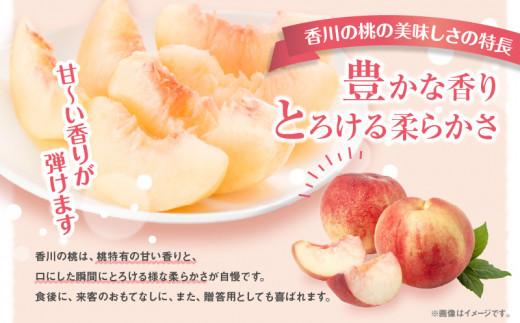 éŠå·ã®æ¡ çŽ3.6kgã2026幎6æäžæ¬ïœ2026幎8æäžæ¬é
éã