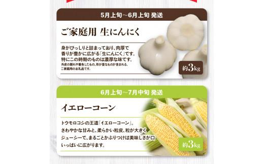 「香川県オリジナル品種さぬきのめざめ」と旬の野菜 定期便P