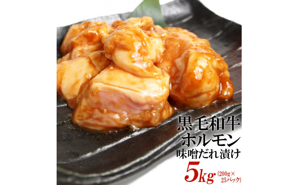 黒毛和牛ホルモン味噌だれ漬け5kg（200g×25）