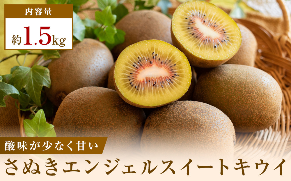 《感謝企画》【先行受付2026年】さぬきエンジェルスイートキウイ　約1.5kg