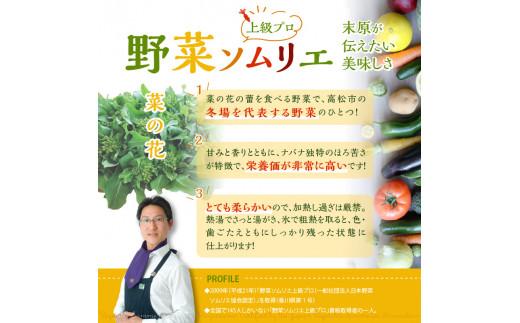 旬の野菜 菜の花 (袋入り) 約2kg【2024-12月上旬～2025-3月下旬配送】