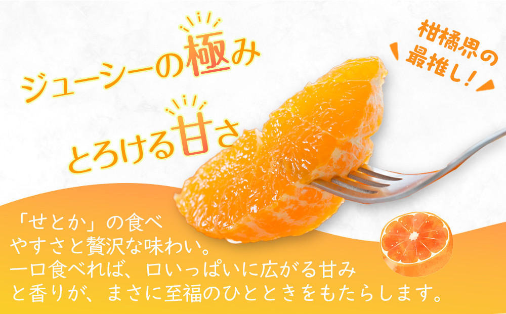【2027年3月中旬より順次発送】柑橘界の大トロ！せとか　約3kg｜果物 くだもの フルーツ 柑橘 みかん せとか ミカン 人気 おすすめ お土産 ギフト 贈答 家庭用 先行予約 人気 おすすめ 香川 高松