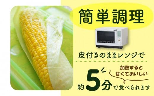 ＼寄附額改定／訳あり ご家庭用ドルチェドリーム 約4.5kg【2025-6月上旬～2025-7月上旬配送】