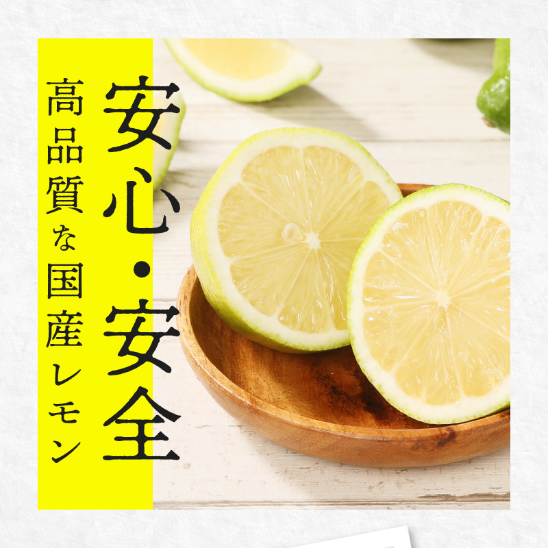 訳あり 加工用 レモン (サイズ混合) 3kg【2024年11月下旬〜2025年4月上旬配送】