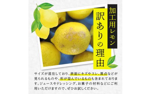 訳あり 加工用 レモン (サイズ混合) 3kg【2024年11月下旬～2025年4月上旬配送】