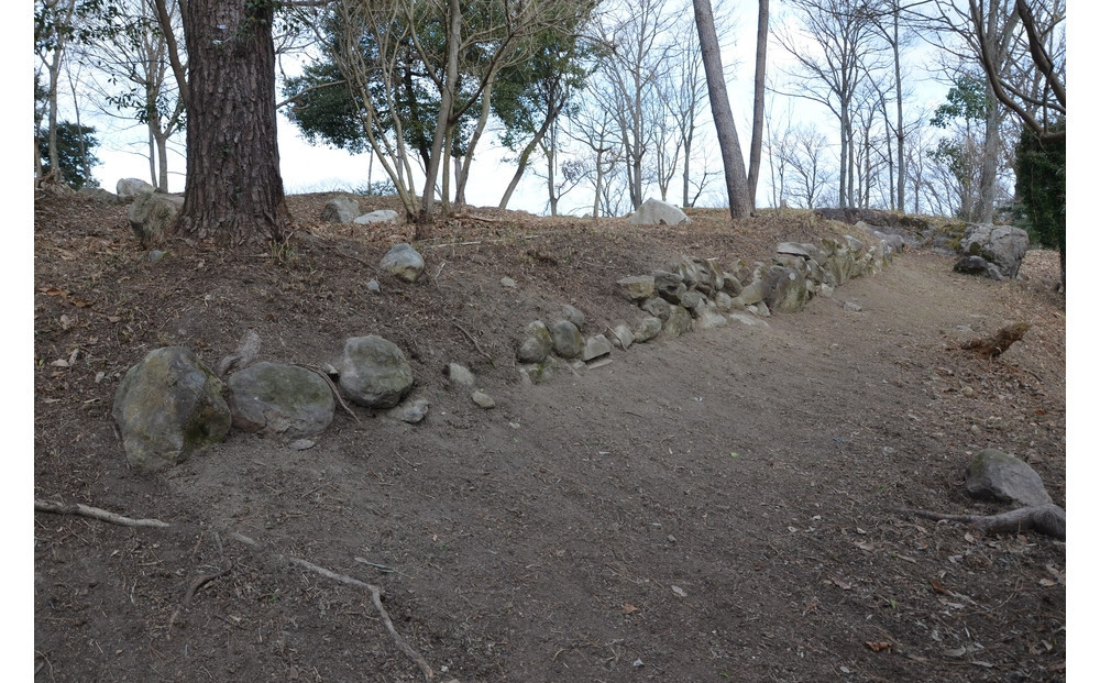 文化財専門員と行く！勝賀城ガイド見学ツアー