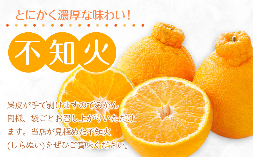 ã2026幎3æäžæ¬ããé æ¬¡çºéããå®¶åºåãïŒæ¿åçå³ã®ãäžç¥ç«(ããã¬ã)ãçŽ5kgïœæç© ãã ãã® ãã«ãŒã ææ© ã¿ãã äžç¥ç« æ¿å çã ãã«ã³ äººæ° ãããã å
è¡äºçŽ éŠå· 髿Ÿ