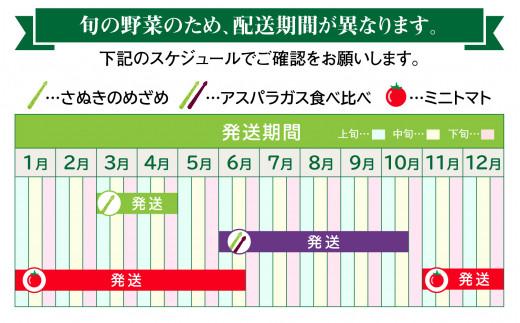 季節のやさい 人気 厳選 高松市 3回 [旬な季節に合計3回発送]定期便D