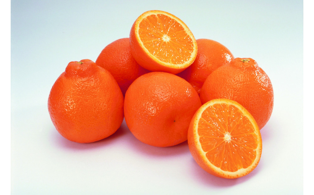 SANUKIFROZEN デコポン 60g×8袋