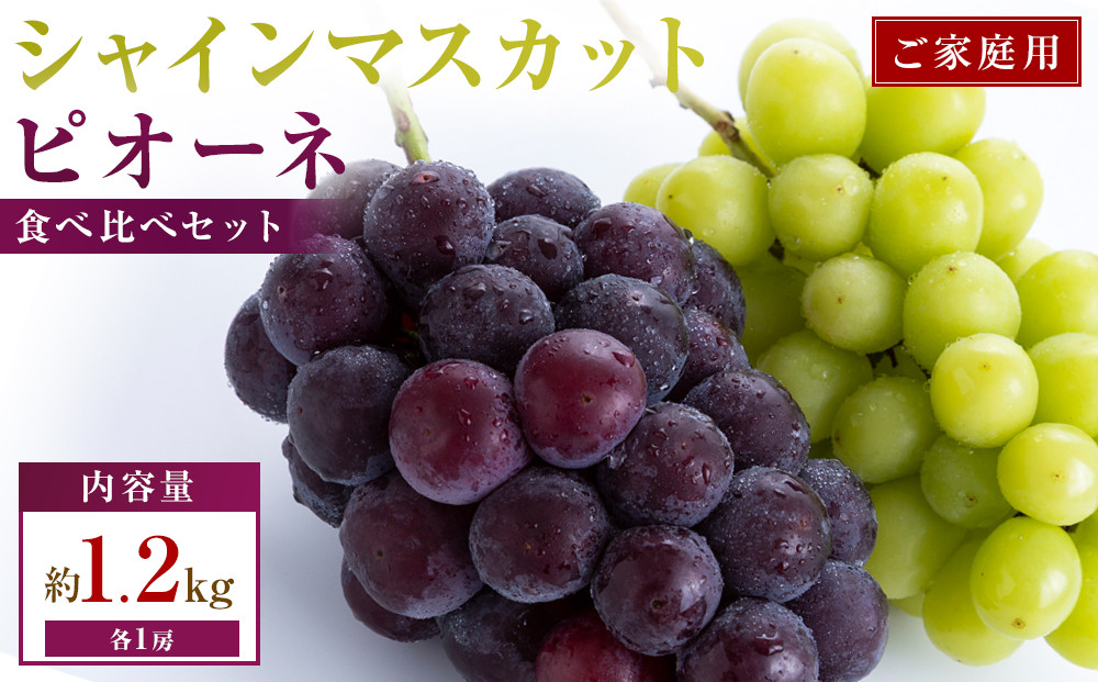 ご家庭用　シャインマスカット+ピオーネ食べ比べセット　約1.2kg(各1房)