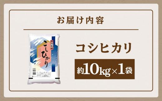 おいしいコシヒカリ約10kg