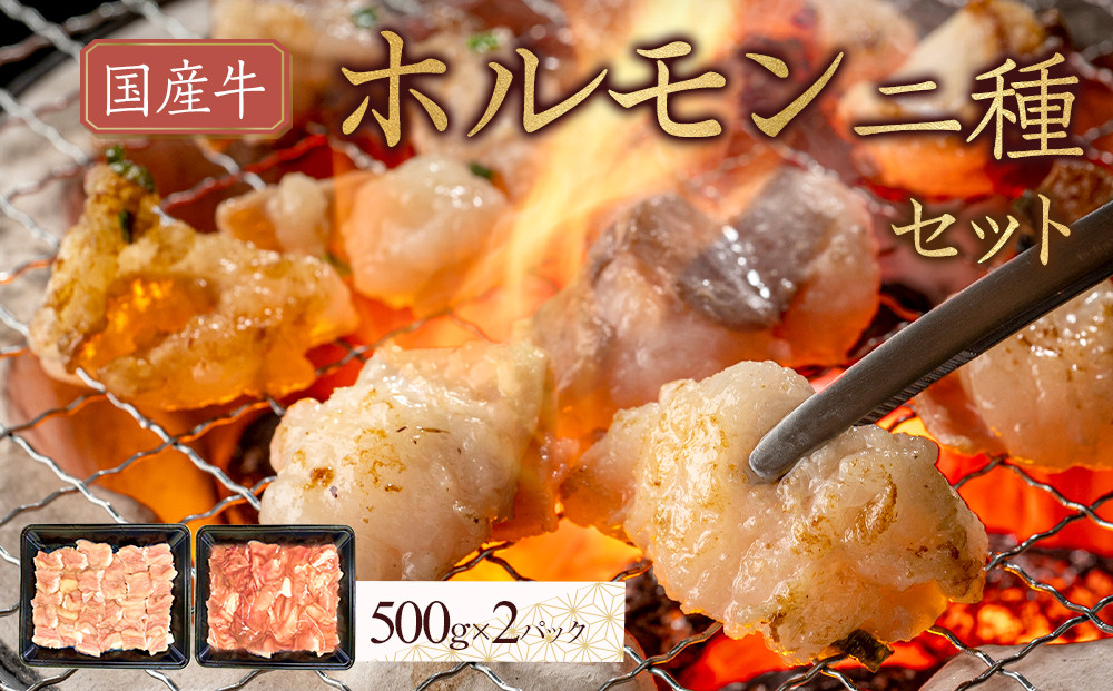 国産牛　ホルモン二種セット1000g