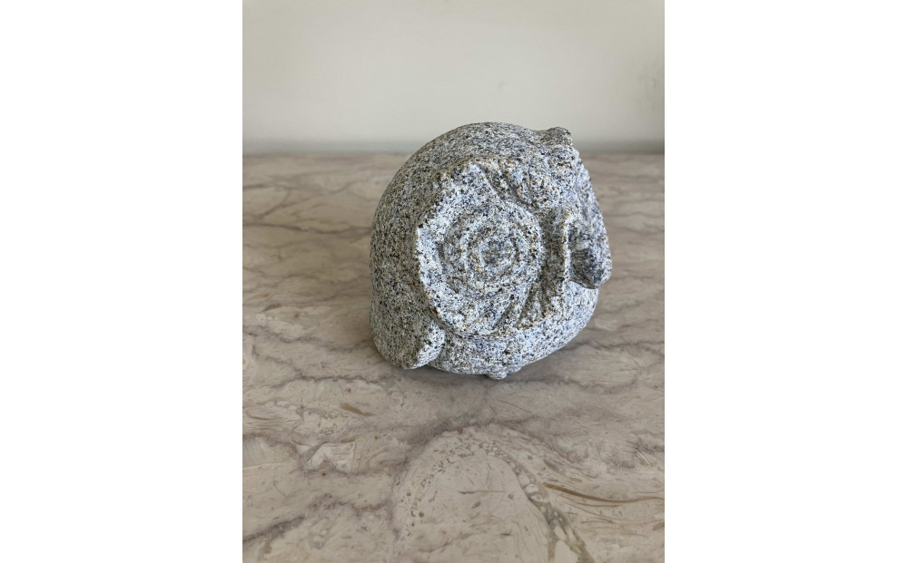 蠎オ豐サ遏ウ縺オ縺上m縺鄂ョ迚ゥ