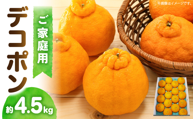 高松産季節の果物＜ご家庭用　デコポン＞約4.5kg【2025年2月下旬〜2025年4月上旬配送】