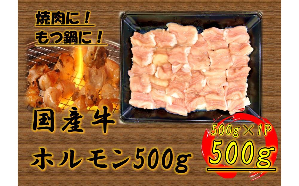 国産牛　ホルモンセット　500g