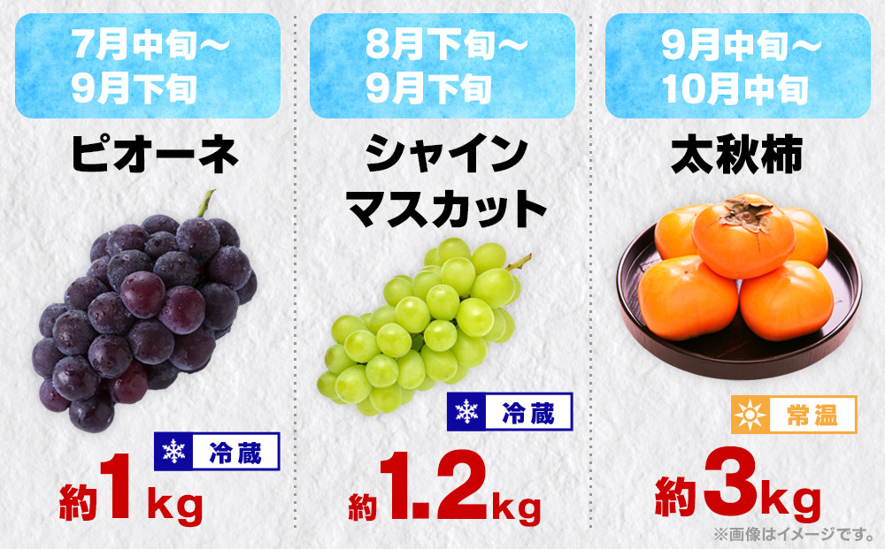 縲12蝗樊ッ取怦縺雁ア翫¢縲鷹ォ俶收蟶りェ諷「縺ョ繝輔Ν繝シ繝螳壽悄萓ソ縲伸縲