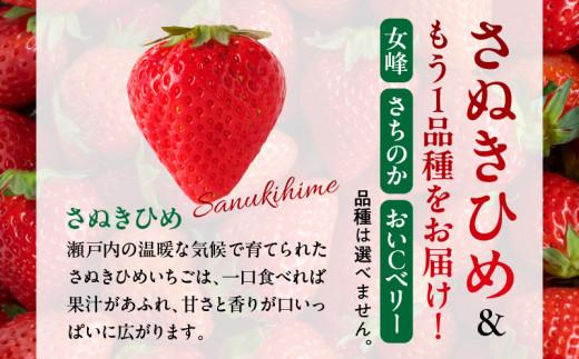 高松市産いちご食べ比べセット 約2kg【2025-1月上旬～2025-5月中旬配送】