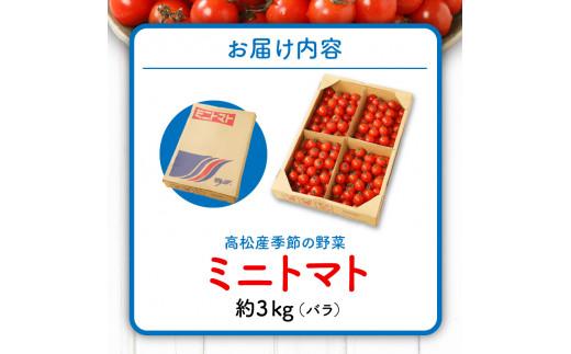 ミニトマト(バラ) 約3kg【2024-11月上旬～2025-6月中旬配送】