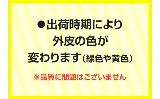レモン　約2kg【2024年11月下旬～2025年4月上旬配送】