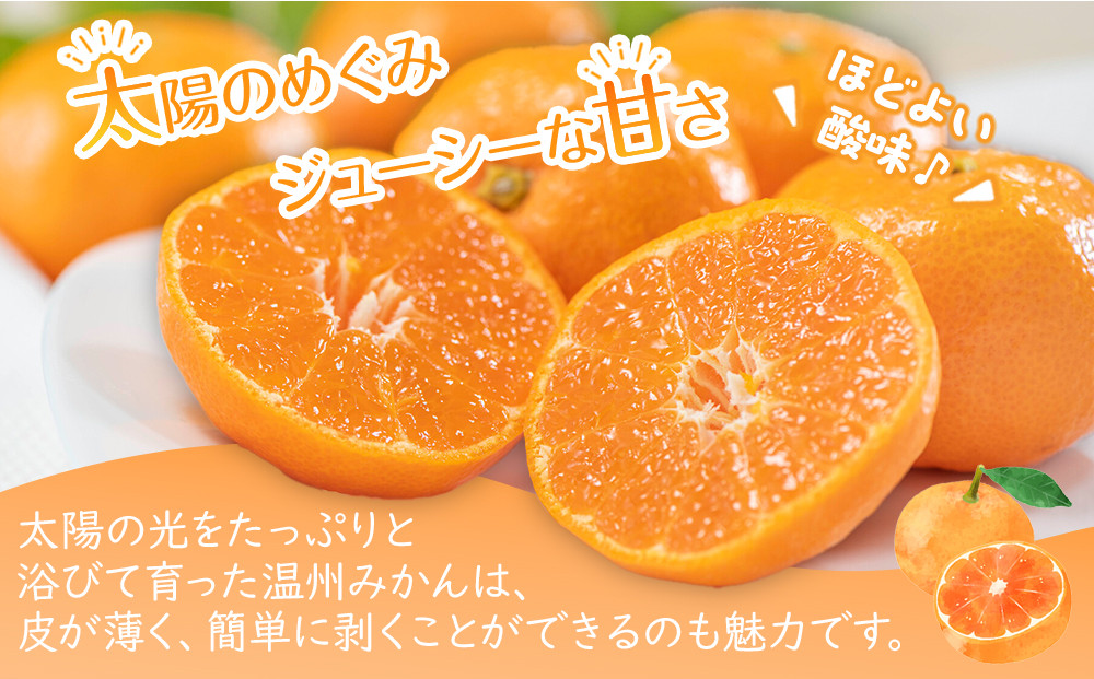 【2026年11月上旬より順次発送】極撰！温州みかん　約10kg｜果物 くだもの フルーツ 柑橘 みかん 温州みかん 人気 おすすめ 先行予約 香川 高松