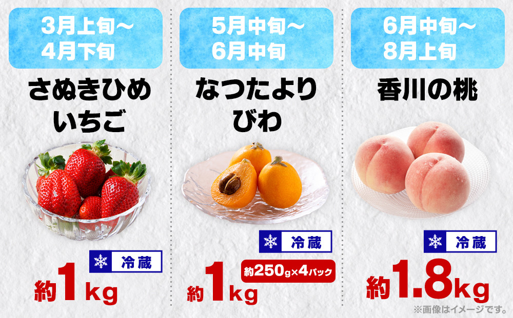 縲12蝗樊ッ取怦縺雁ア翫¢縲鷹ォ俶收蟶りェ諷「縺ョ繝輔Ν繝シ繝螳壽悄萓ソ縲伸縲