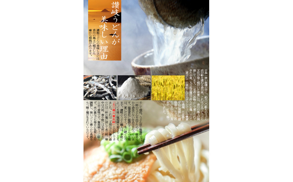 冷凍さぬきうどん 麵処 春奈 特上の3種6人前 肉うどん えび天 きつね