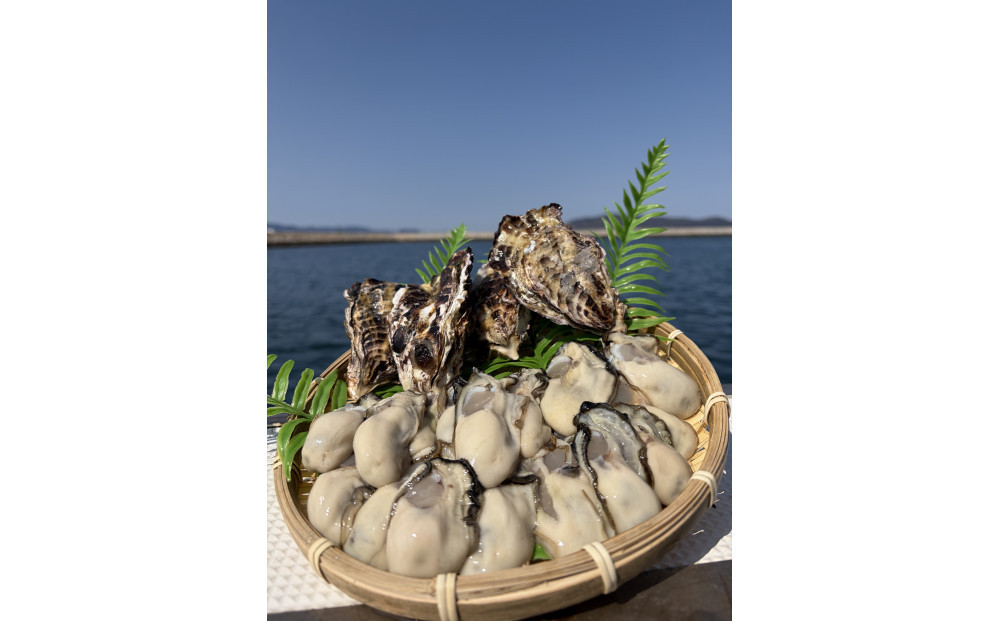 加熱用 殻付き牡蛎1kg