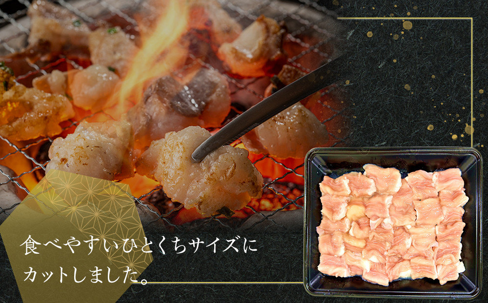 国産牛　ホルモンセット　1000g