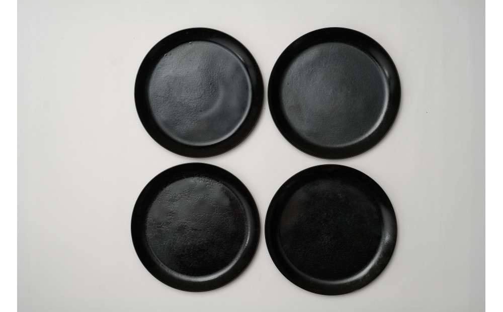 TAKIBISM フライパンディッシュ【中】4枚セット