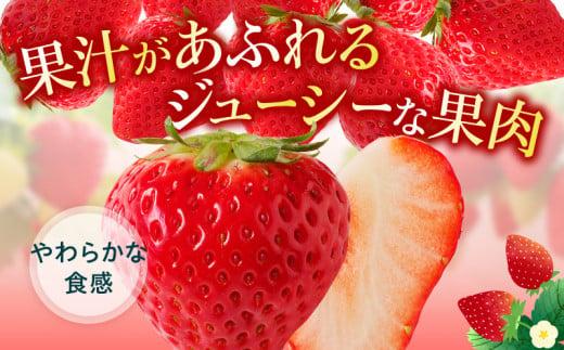 大粒厳選(1粒20g以上)!さぬきひめいちご 約1kg【2025-3月上旬～2025-3月下旬配送】