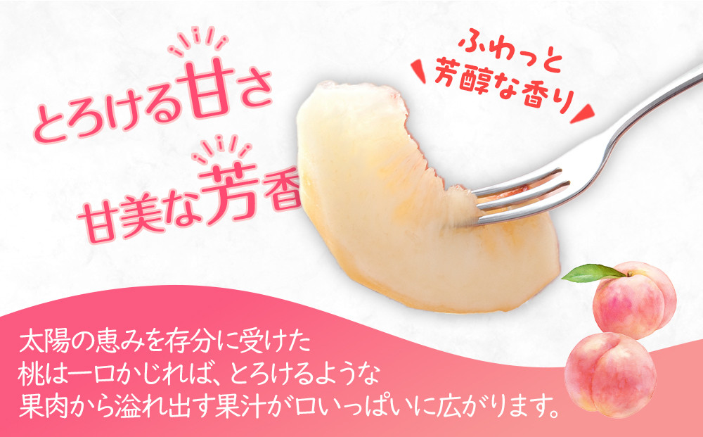 【2026年6月下旬より順次発送】特秀品！絶品「桃」約2kg(6～8玉)
