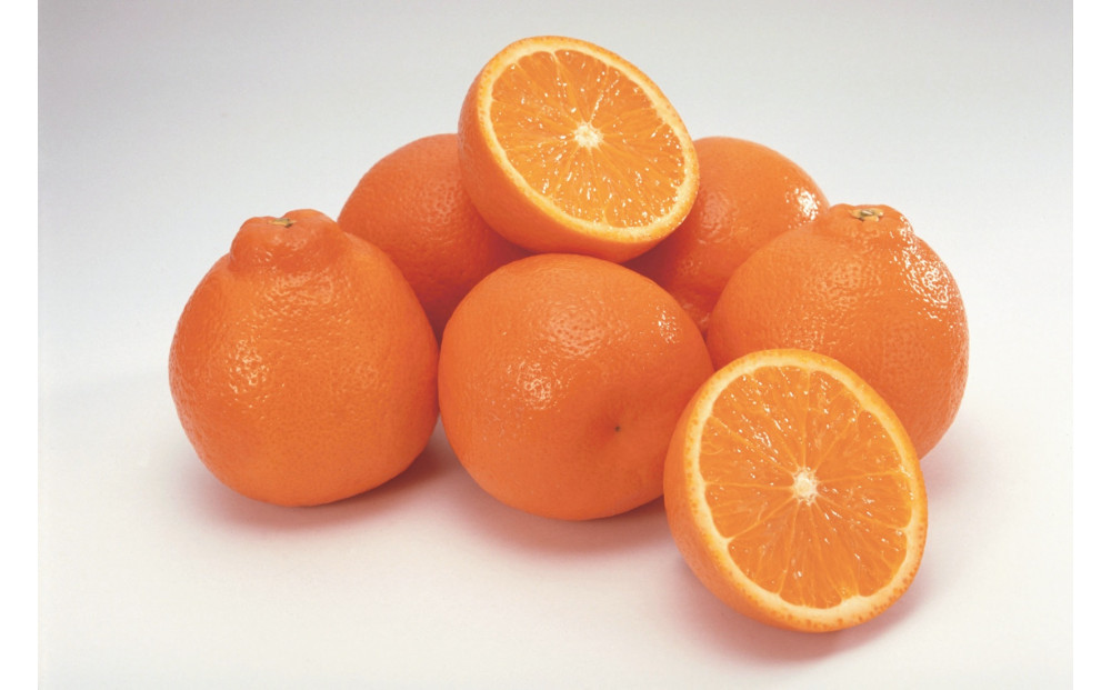 SANUKIFROZEN デコポン 100g×8袋