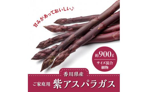 貴重で甘みが強い ! ご家庭用 紫 アスパラガス (細物・サイズ混合) 約900g【2024-6月上旬～2024-10月中旬配送】