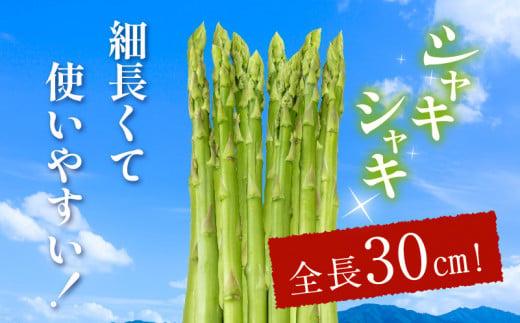 柔らかさと甘みが際立つ さぬきのめざめセミロング30cm(Mサイズ) 約1.5kg【2025-6月上旬～2025-6月下旬配送】