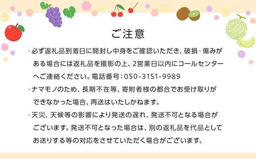 【定期便全3回】冬のいいとこどり定期便（12・1・2月）