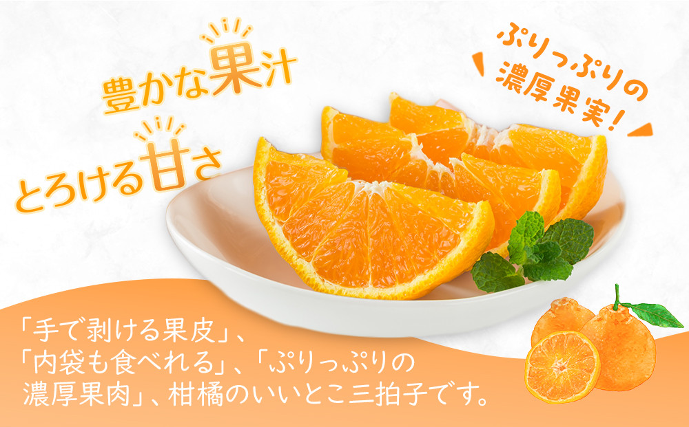 ã2026幎3æäžæ¬ããé æ¬¡çºéãå³éžïŒæ¿åçå³ã®ãäžç¥ç«(ããã¬ã)ãçŽ3kgïœæç© ãã ãã® ãã«ãŒã ææ© ã¿ãã äžç¥ç« æ¿å çã ãã«ã³ äººæ° ãããã å
è¡äºçŽ éŠå· 髿Ÿ