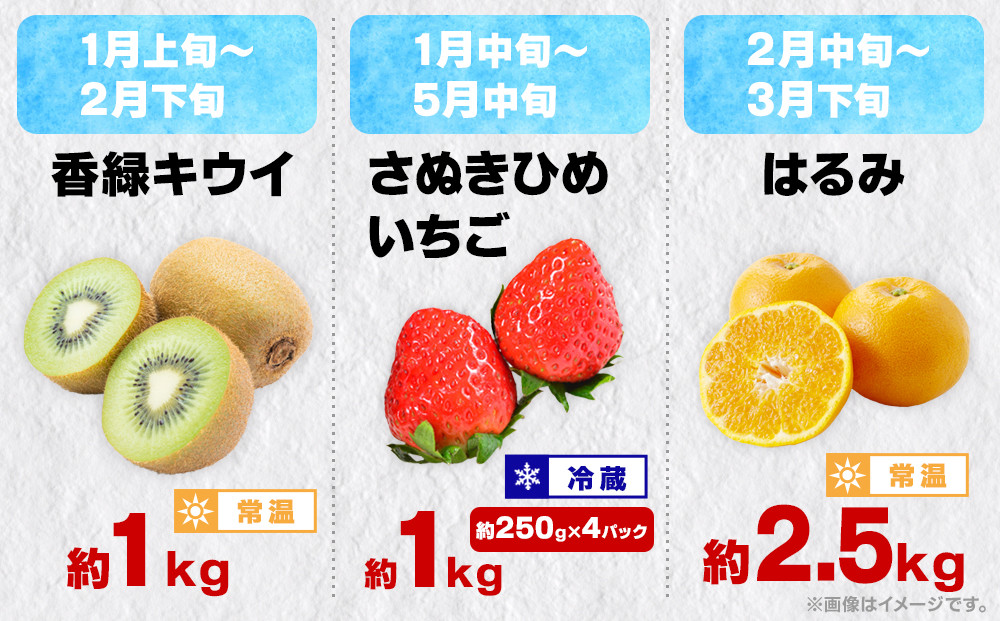 縲12蝗樊ッ取怦縺雁ア翫¢縲鷹ォ俶收蟶りェ諷「縺ョ繝輔Ν繝シ繝螳壽悄萓ソ縲伸縲