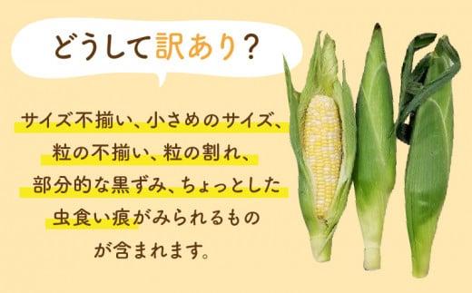 ＼寄附額改定／訳あり ご家庭用ドルチェドリーム 約4.5kg【2025-6月上旬～2025-7月上旬配送】